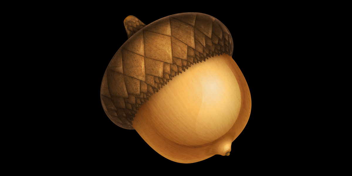 Detail Acorn Image Nomer 55