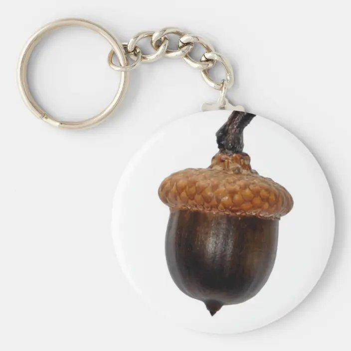 Detail Acorn Keychain Nomer 15