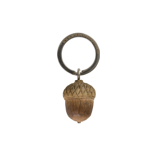 Detail Acorn Keychain Nomer 7