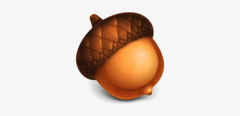 Detail Acorn Transparent Background Nomer 16