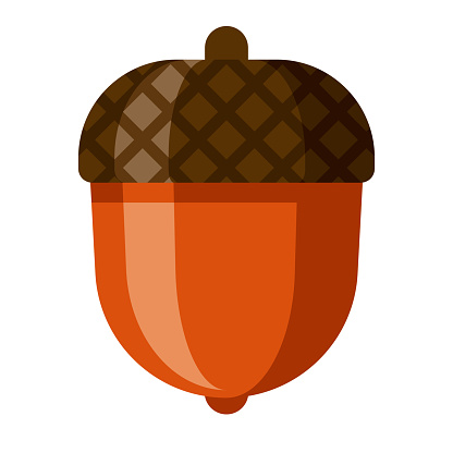 Detail Acorn Transparent Background Nomer 20