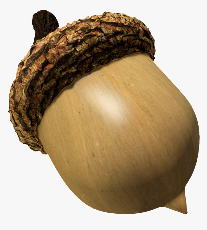 Detail Acorn Transparent Background Nomer 25
