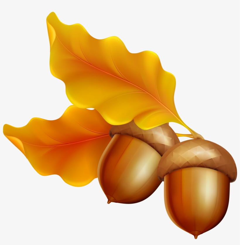 Detail Acorn Transparent Background Nomer 29