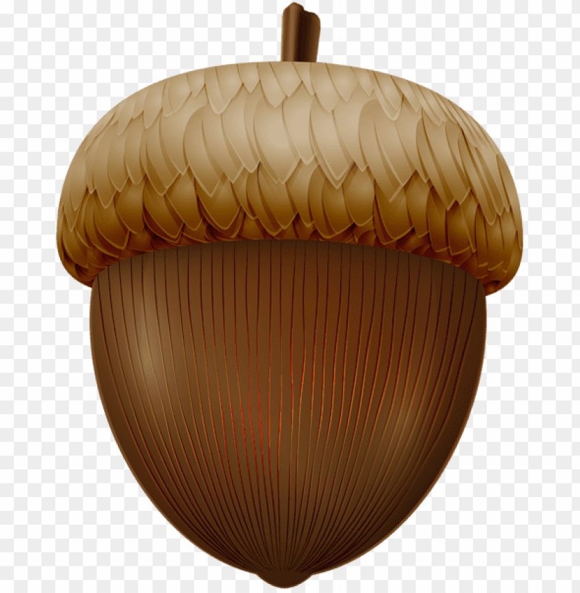 Detail Acorn Transparent Background Nomer 32
