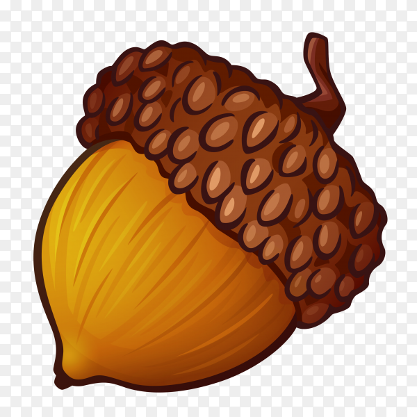Detail Acorn Transparent Background Nomer 3