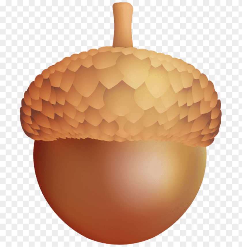 Detail Acorn Transparent Background Nomer 39