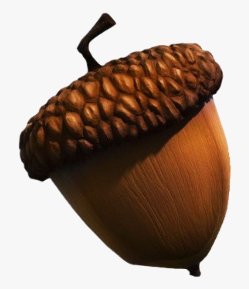 Detail Acorn Transparent Background Nomer 7