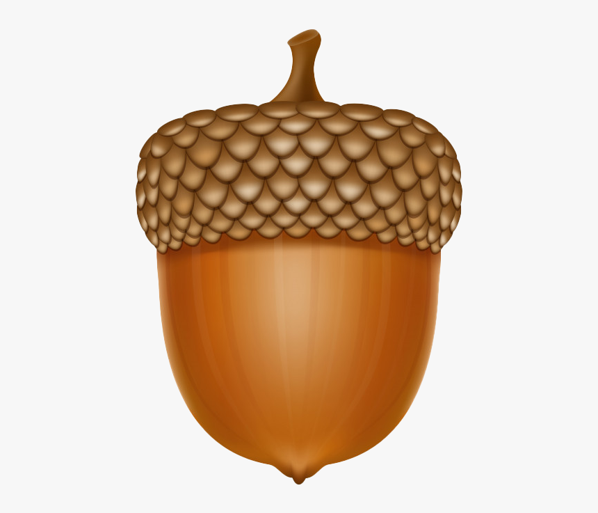 Detail Acorn Transparent Background Nomer 8