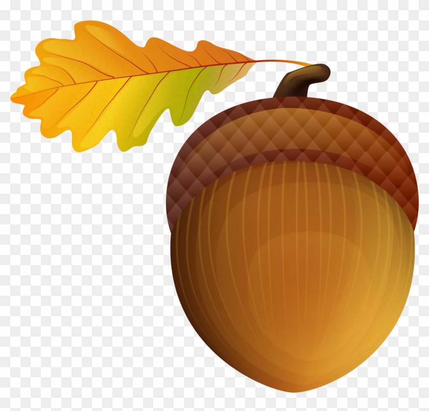 Detail Acorns Png Nomer 26