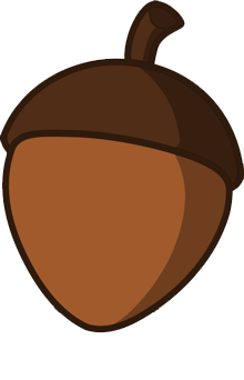 Detail Acorns Png Nomer 33