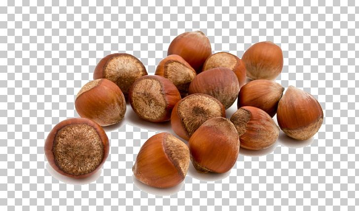 Detail Acorns Png Nomer 35