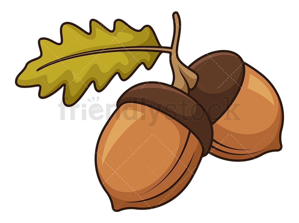 Detail Acorns Png Nomer 41