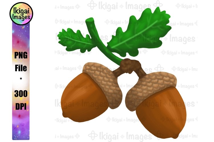 Detail Acorns Png Nomer 42