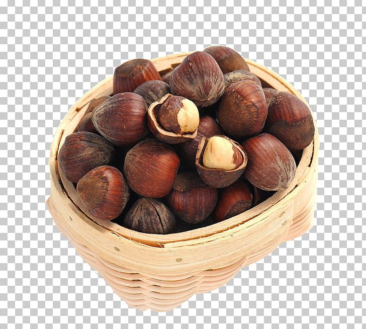 Detail Acorns Png Nomer 50