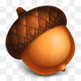 Detail Acorns Png Nomer 54