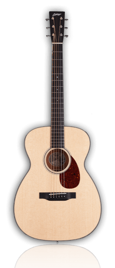 Detail Acoustic Guitar Image Nomer 54