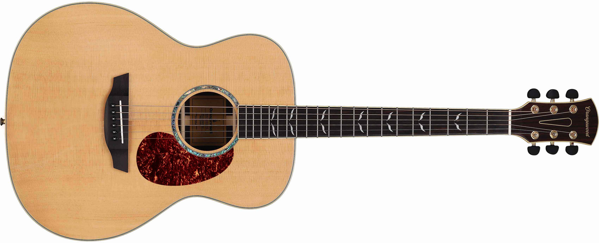 Detail Acoustic Guitar Image Nomer 7