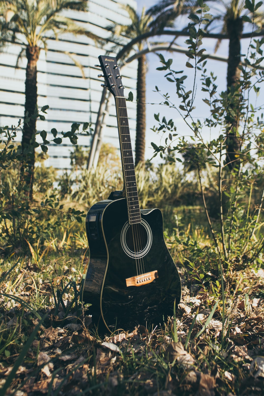 Detail Acoustic Guitar Photographs Nomer 40