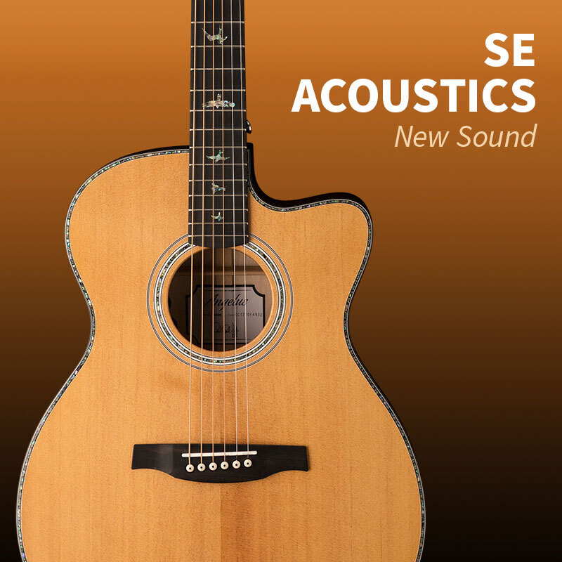 Detail Acoustic Guitar Picture Nomer 29