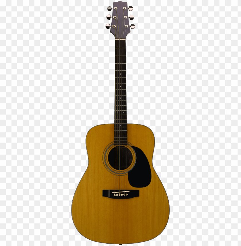 Detail Acoustic Guitar Transparent Nomer 6