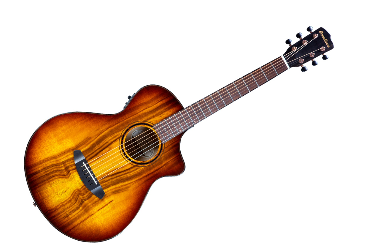 Detail Acoustic Guitars Images Nomer 47