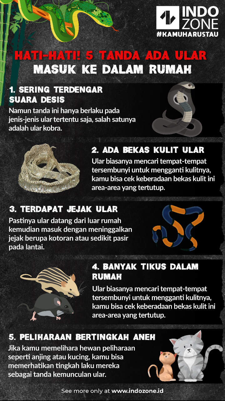 Detail Ada Kulit Ular Di Dalam Rumah Nomer 28