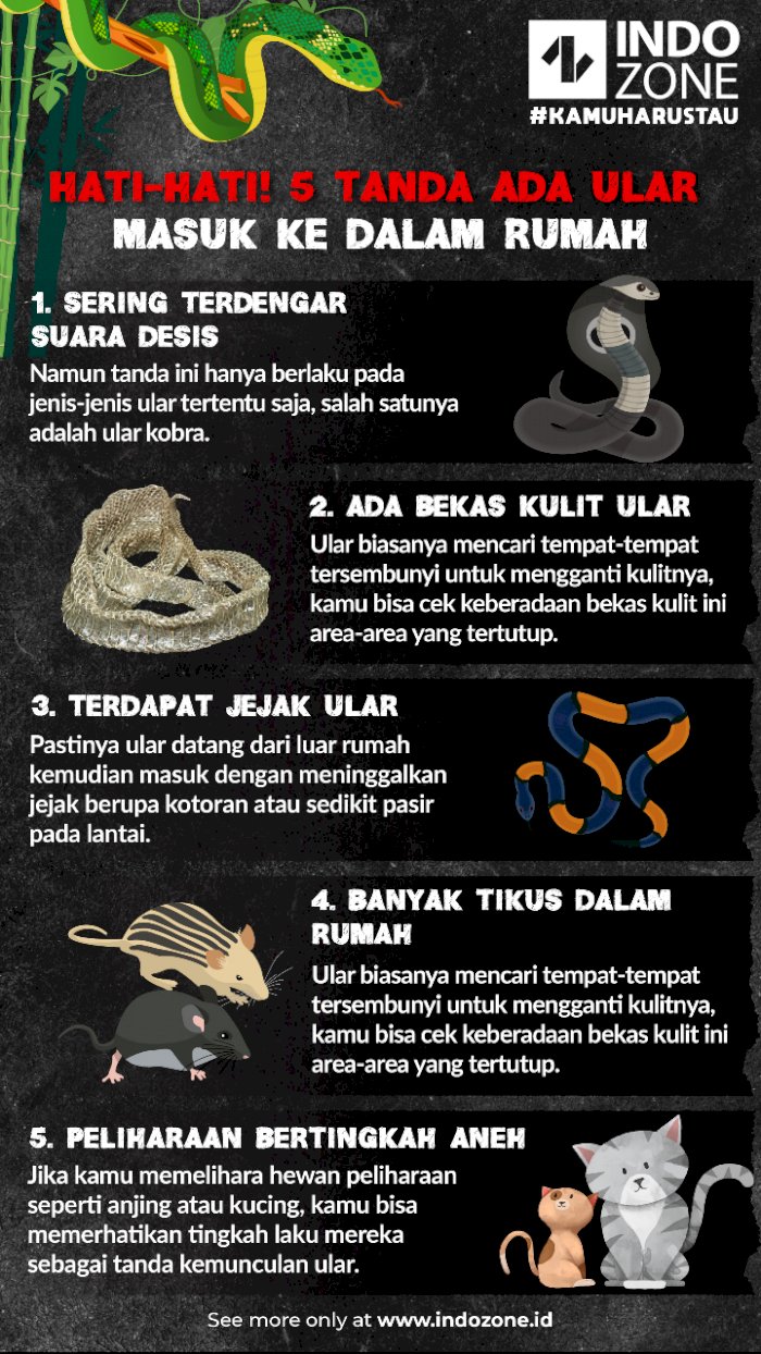 Detail Ada Ular Masuk Rumah Nomer 16