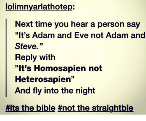 Detail Adam And Steve Meme Nomer 13