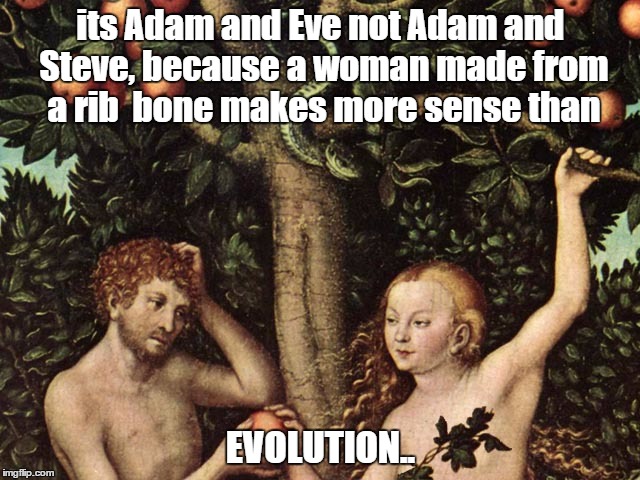 Detail Adam And Steve Meme Nomer 40