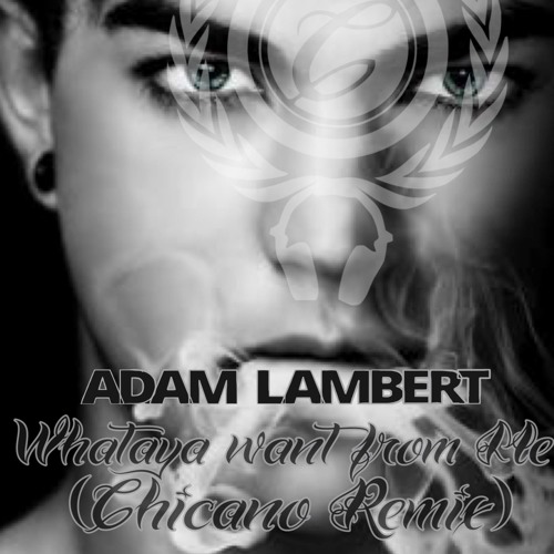 Detail Adam Lambert Whataya Want From Me Nomer 22