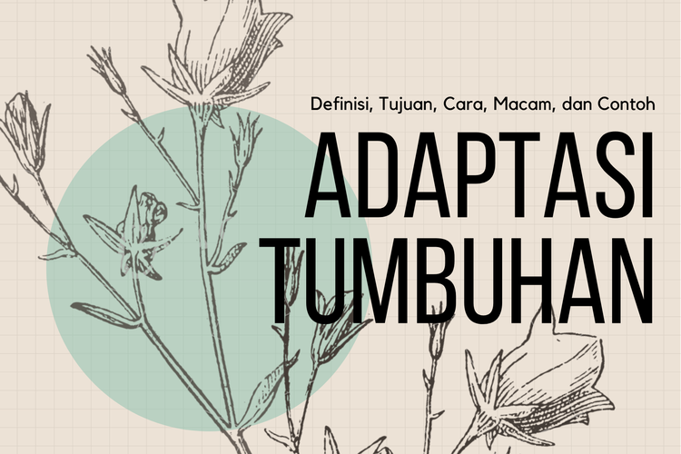 Detail Adaptasi Tumbuhan Teratai Nomer 27