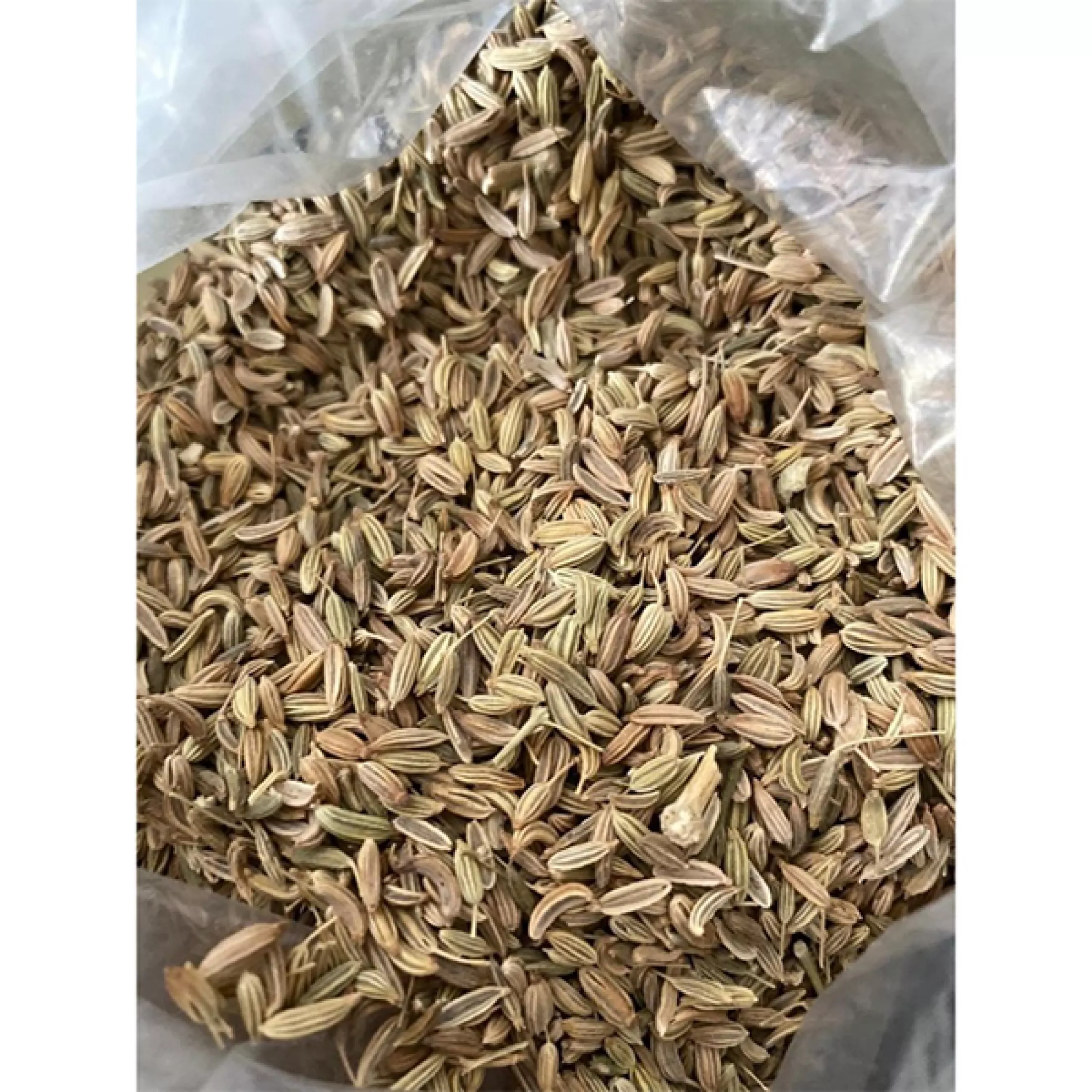 Detail Adas Bumbu Dapur Nomer 24
