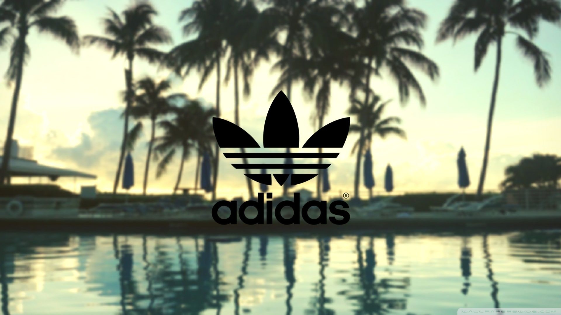 Detail Adidas Wallpaper Desktop Nomer 18