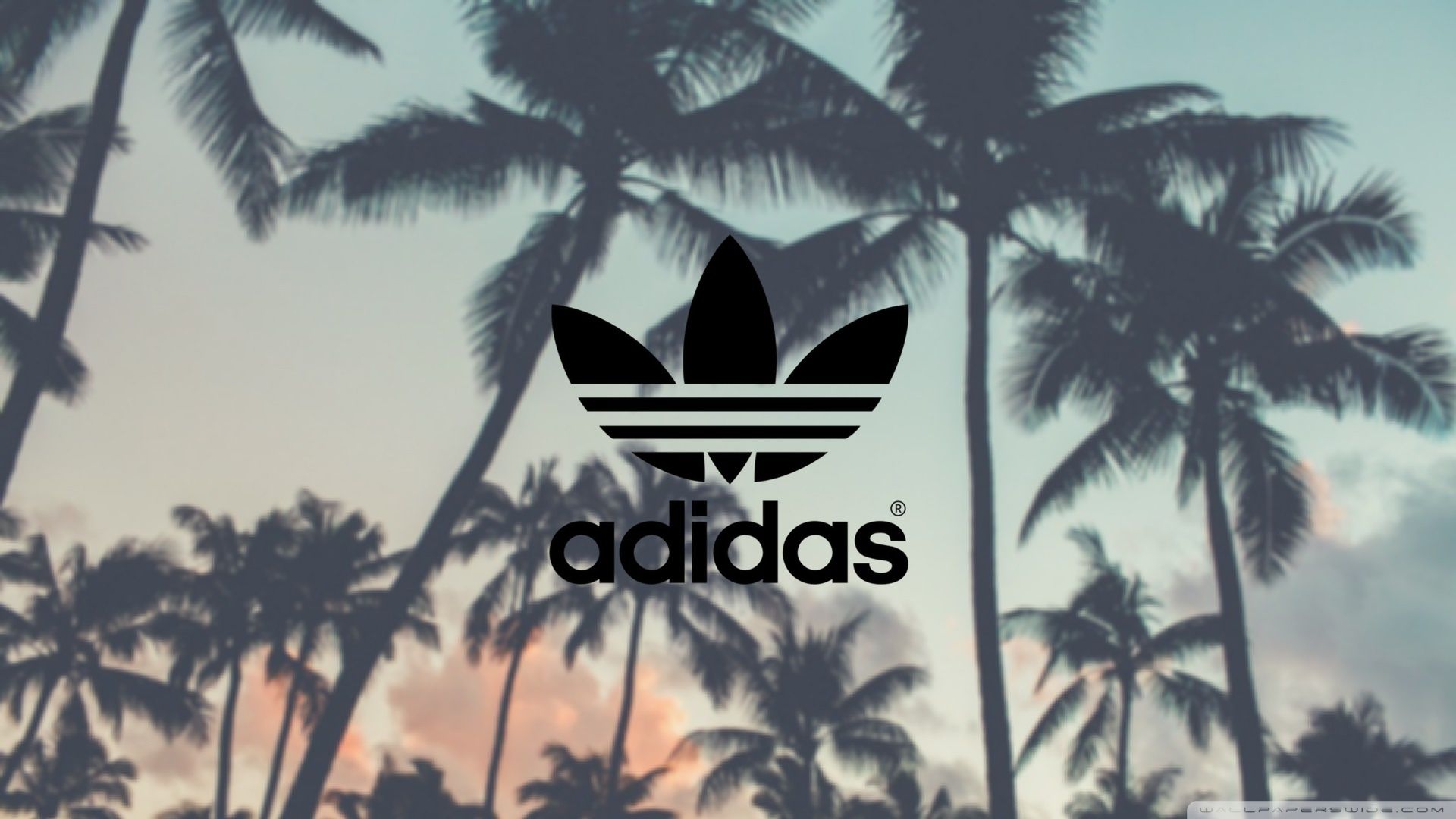 Detail Adidas Wallpaper Desktop Nomer 7