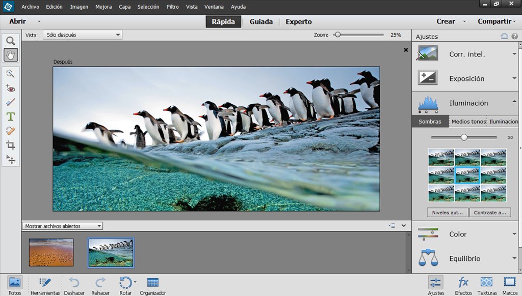 Detail Adobe Photoshop Elements Portable Nomer 27