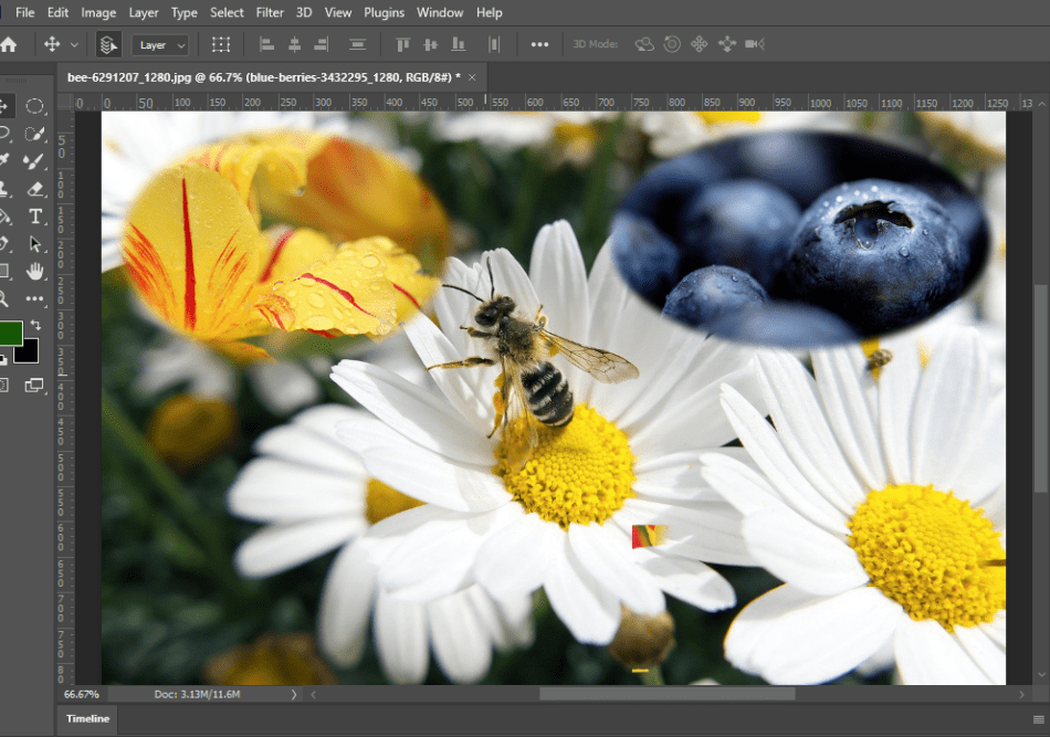 Detail Adobe Photoshop Elements Portable Nomer 28