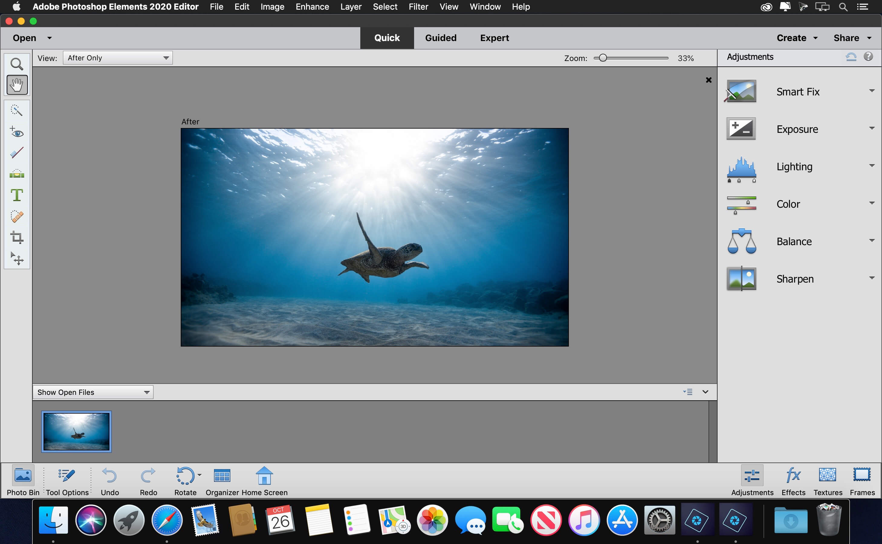 Detail Adobe Photoshop Elements Portable Nomer 53