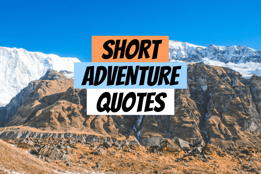 Detail Adventure Quotes Short Nomer 21