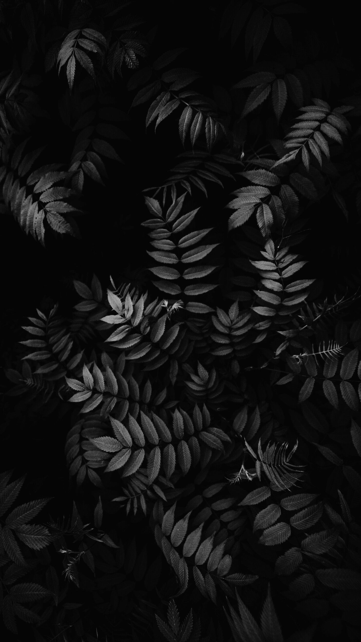 Detail Aesthetic Background Hitam Nomer 14
