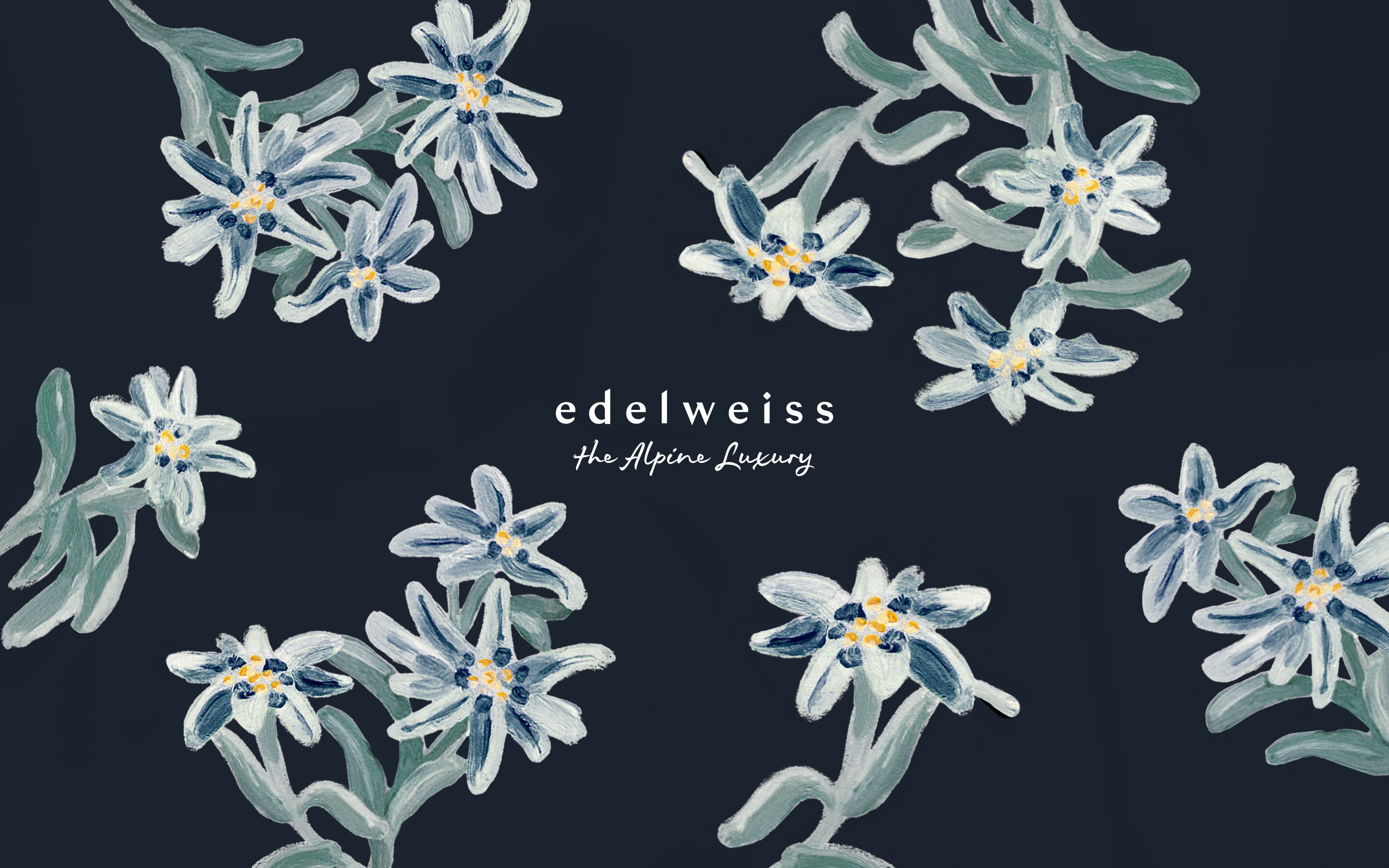 Detail Aesthetic Bunga Edelweis Wallpaper Nomer 27