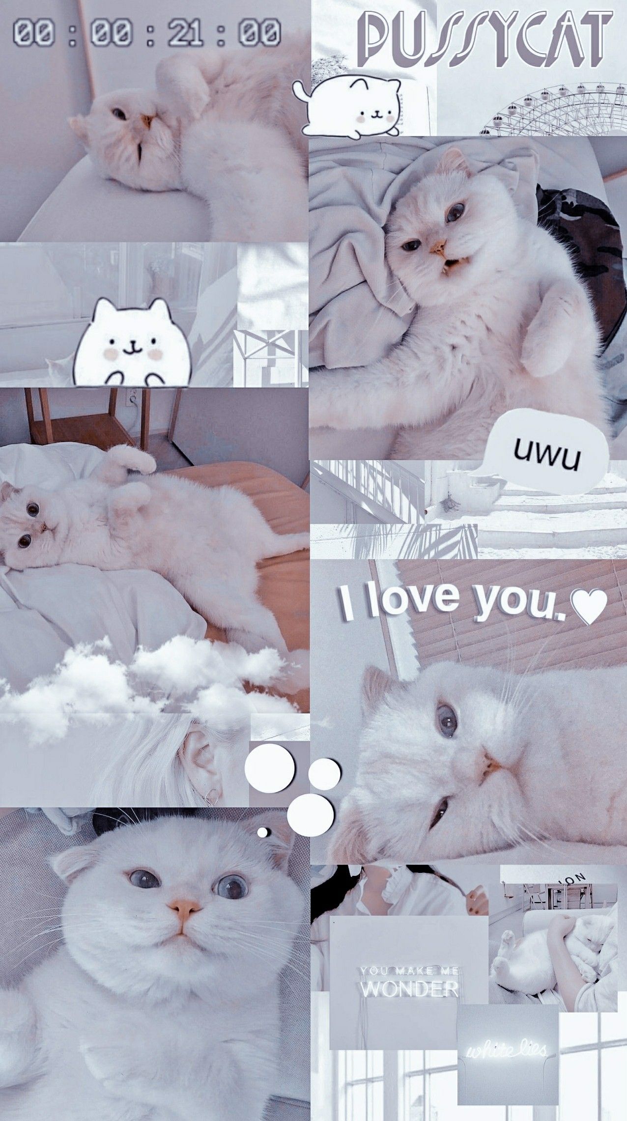 Detail Aesthetic Lockscreen Kucing Tumblr Nomer 7