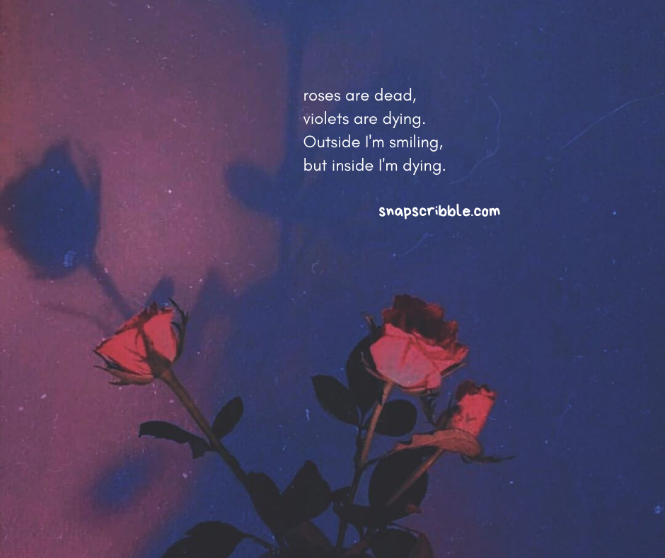 Detail Aesthetic Quotes About Love Nomer 22