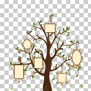 Detail Aesthetic Tree Png Nomer 41