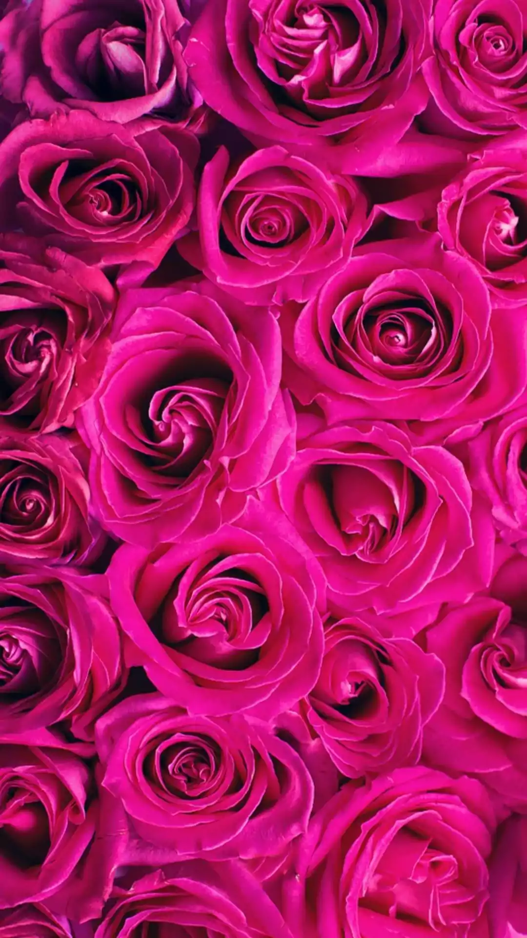 Detail Aesthetic Wallpaper Pink Nomer 53