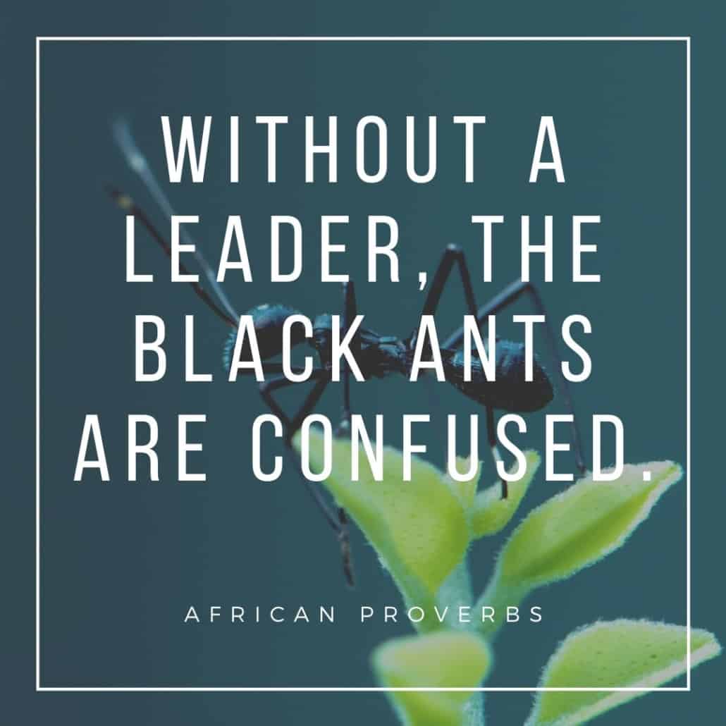 Detail African Proverbs Quotes Nomer 39
