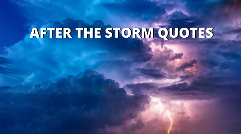 Detail After The Storm Quotes Nomer 3