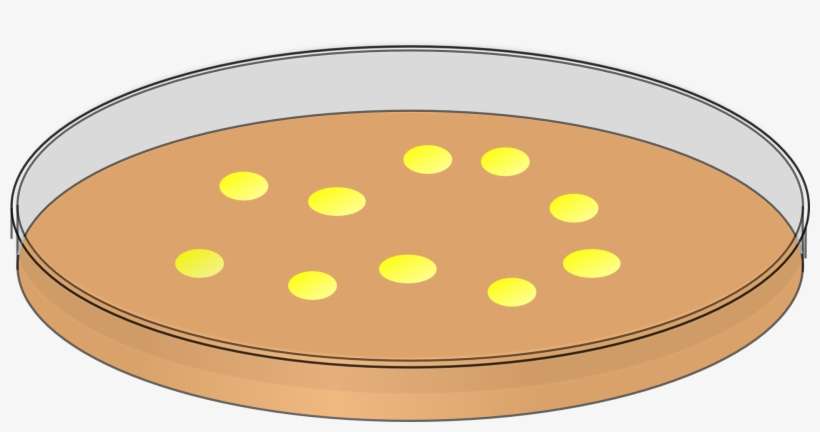 Detail Agar Agar Png Nomer 27