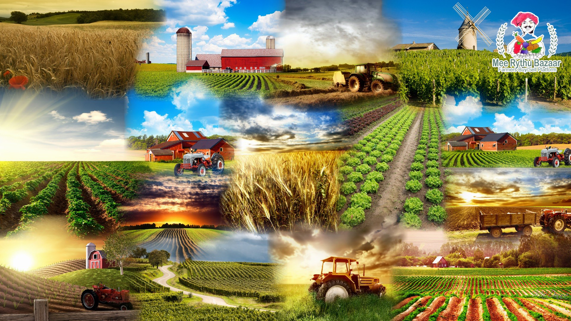 Detail Agriculture Hd Nomer 34