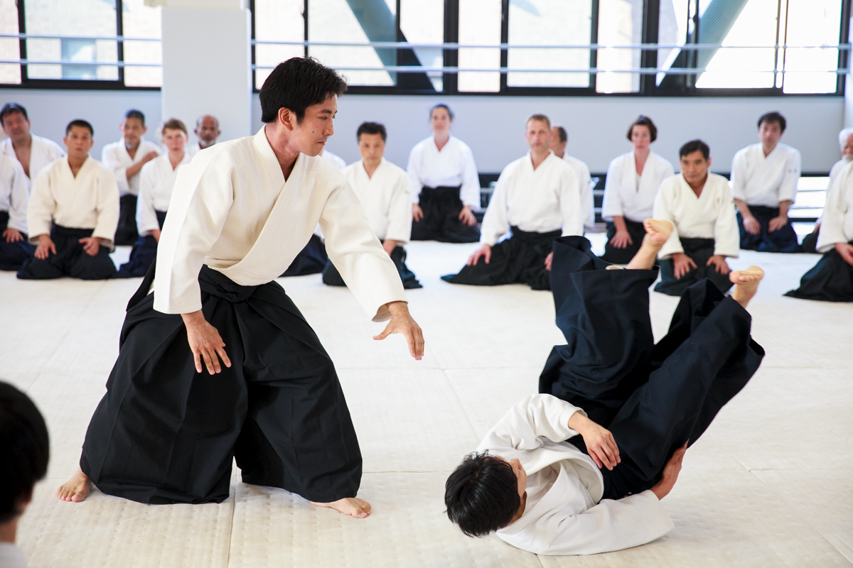 Detail Aikido Images Nomer 15