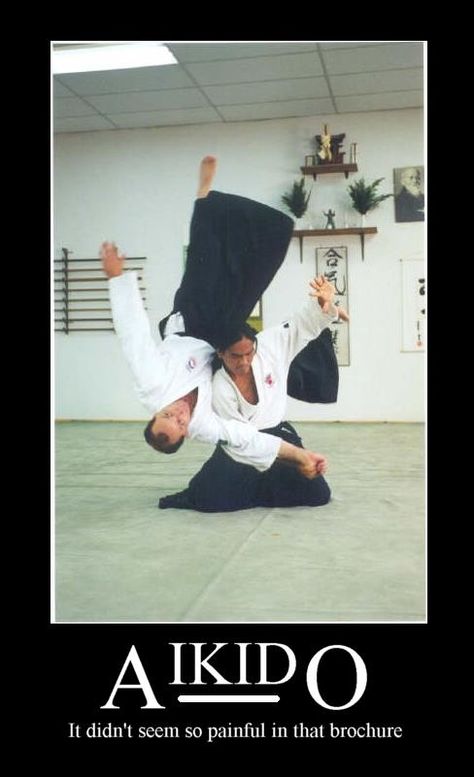 Detail Aikido Meme Nomer 15